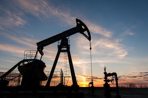 俄副總理透露歐佩克+將在12月前維持自愿減產，天然氣儲運成能源市場關鍵議題